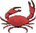 cranc